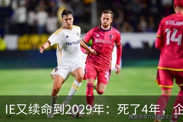 IE又续命到2029年：死了4年，企业还得靠它开老网站